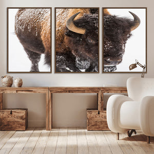 Bison Wall Art Canvas Print For Farmhouse, Wild Animal Wall