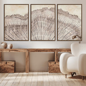 Tree Ring Wall Art Triptych, Rustic Wood Ring Canvas Print,