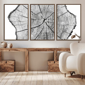 Rustic Tree Ring Wall Art Canvas Print – Framed and Ready to