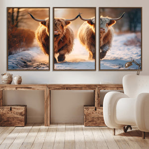 Scottish Highland Cow Horn Farm Wall Art Canvas Print