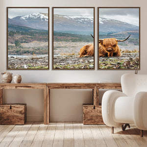 Highland Cow Horn Farm Wall Art Canvas Print