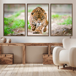 Leopard on the Prowl - Stunning Large Framed Leopard Wall