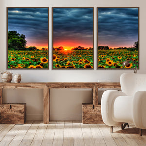 Golden Sunflower Field at Sunset – Breathtaking Sky and