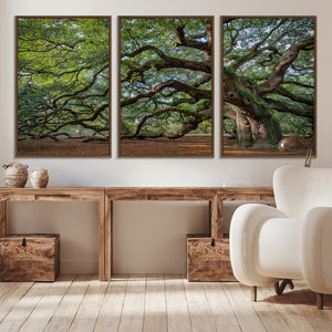 Historic Tree Wall Art – Framed Mossy Branch Canvas Artwork,