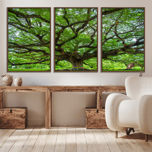 Angel Oak Tree Wall Art Canvas Print – Framed Majestic