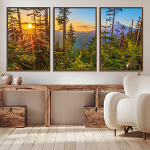 Forest Sunset Wall Art Canvas Print, Glowing Evening Light