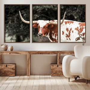 Texas Longhorn Wall Art Canvas Print – Framed Spotted Bull