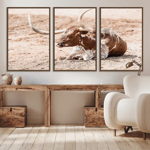 Texas Longhorn Wall Art – Framed Resting Bull Canvas
