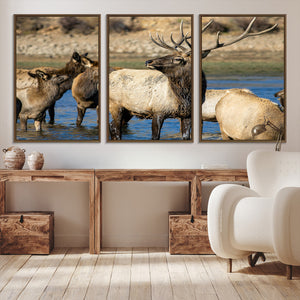 Wild Elk Wall Art Canvas Print – Framed Neutral Wildlife