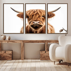 Scottish Highland Cow Canvas Print, Framed Highland Cow