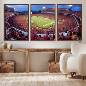 Dooley Stadium Wall Art, Sports Arena Canvas Print, Dooley