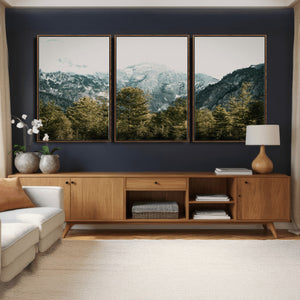 Mountain Forest Wall Art Canvas Print, Alpine Landscape