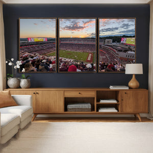 Donald W. Reynolds Razorback Stadium Wall Art Canvas Print –