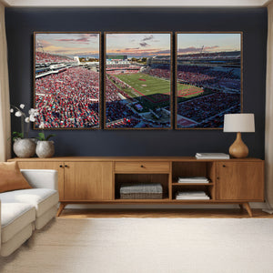 Donald W. Reynolds Razorback Stadium Wall Art Canvas Print –