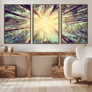 Tree and Sunshine Canvas Print