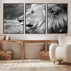 Lion Wall Art Canvas Print – Framed Majestic Wildlife