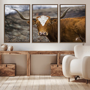 Texas Longhorn Canvas Wall Art - Longhorn Steer Canvas Wall
