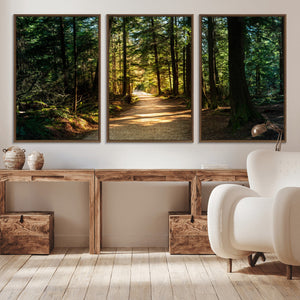 Sunlit Forest Pathway Canvas Print | 3 Panel Large Nature