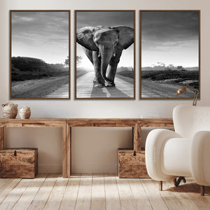 Black and White Elephant Wall Art Canvas Print