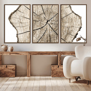 Abstract Wood Tree Ring Wall Art - Ready to Hang Minimalist
