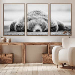 Resting Grizzly Bear Wall Art Canvas Print – Majestic Lazy
