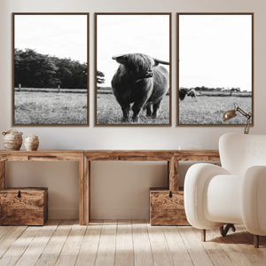 Black and White Highland Cow Wall Art Canvas Print | Rustic