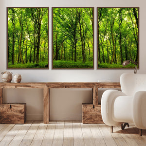 Lush Green Forest Canvas Print | 3-Panel Forest Wall Art |