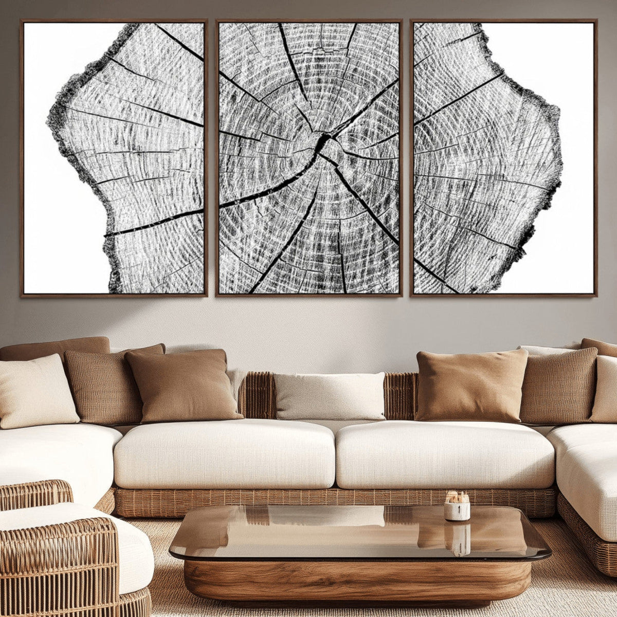 Rustic Tree Ring Wall Art Canvas Print – Framed and Ready to