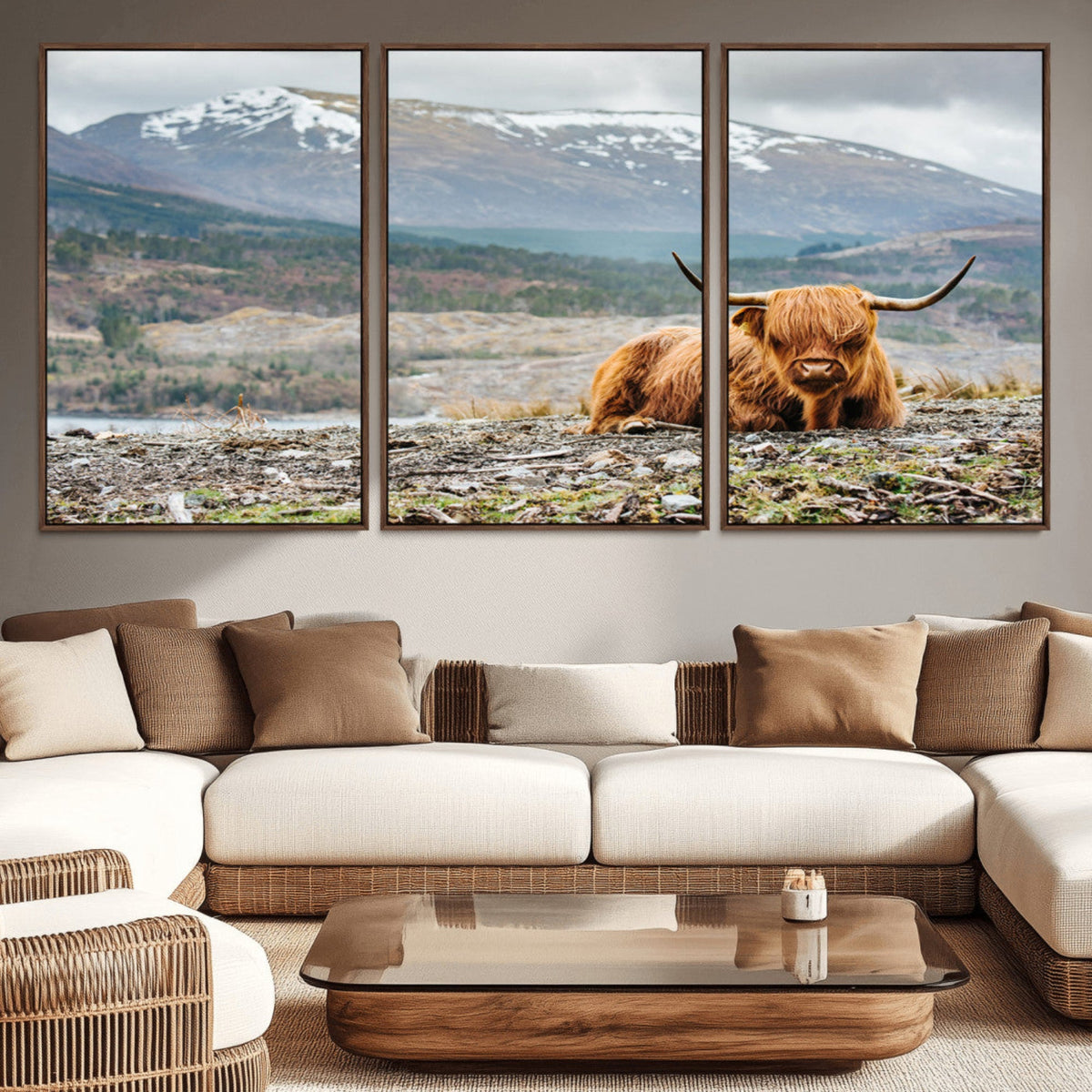 Highland Cow Horn Farm Wall Art Canvas Print