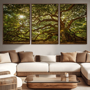 Ancient Angel Oak Tree Art Sunburst Canvas Print-