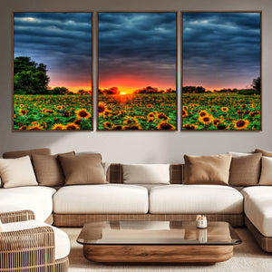 Golden Sunflower Field at Sunset – Breathtaking Sky and