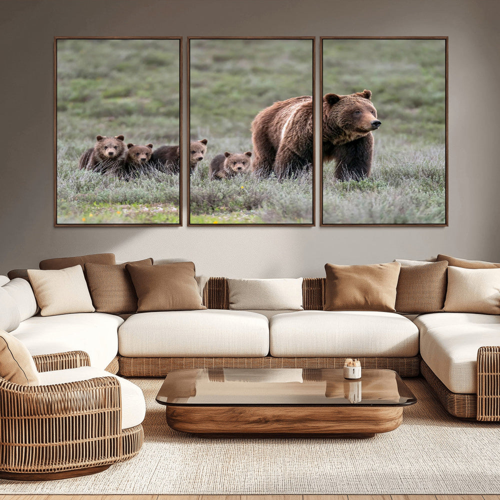 Wildlife Photography of 399 Grizzly Bear Cubs | Queen of the