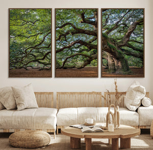 Historic Tree Wall Art – Framed Mossy Branch Canvas Artwork,