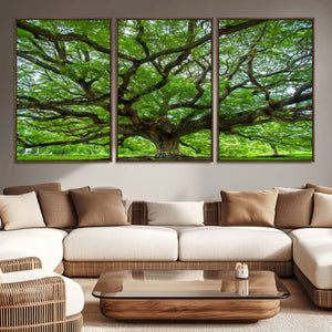 Oak Tree Wall Art Print, Forest Canvas Wall Art for Home and