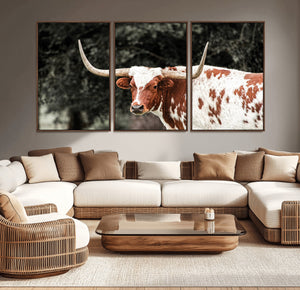 Texas Longhorn Wall Art Canvas Print – Framed Spotted Bull