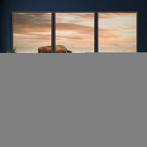 MyCanvas -