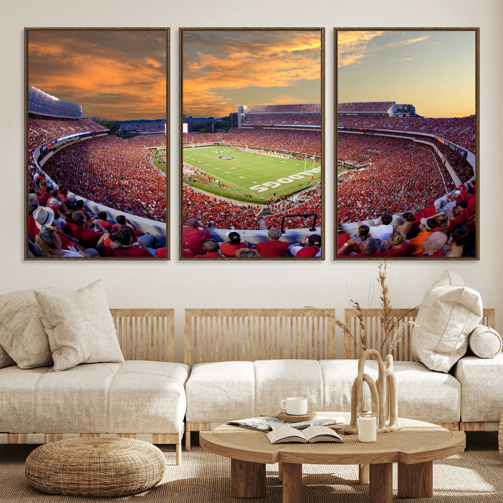 Dooley Stadium Wall Art, Sports Arena Canvas Print, Dooley