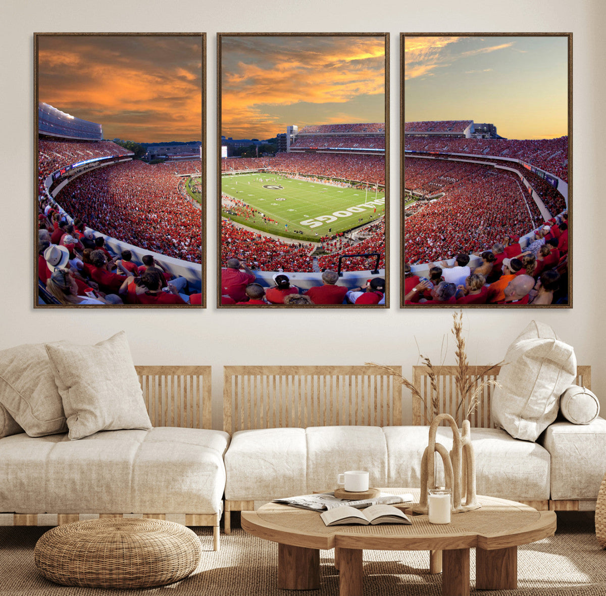 Dooley Stadium Wall Art, Sports Arena Canvas Print, Dooley