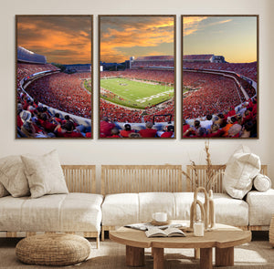 Dooley Stadium Wall Art, Sports Arena Canvas Print, Dooley