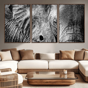 Wild Old Elephant Wall Art Canvas Print