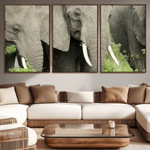 Wild Elephant Wall Art Canvas Print