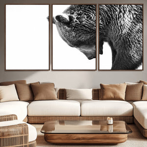 Black and White Grizzly 399 Bear Canvas Print Wall Art |