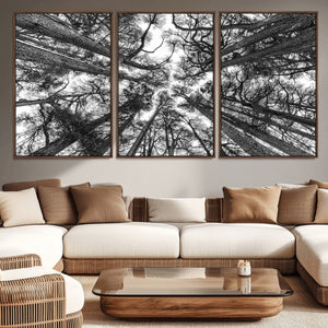 Trees Contemporary Art Canvas Print