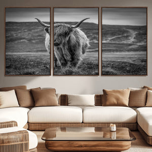 Fluffy Cattle Wall Art Print, Highland Cow Canvas, Framed