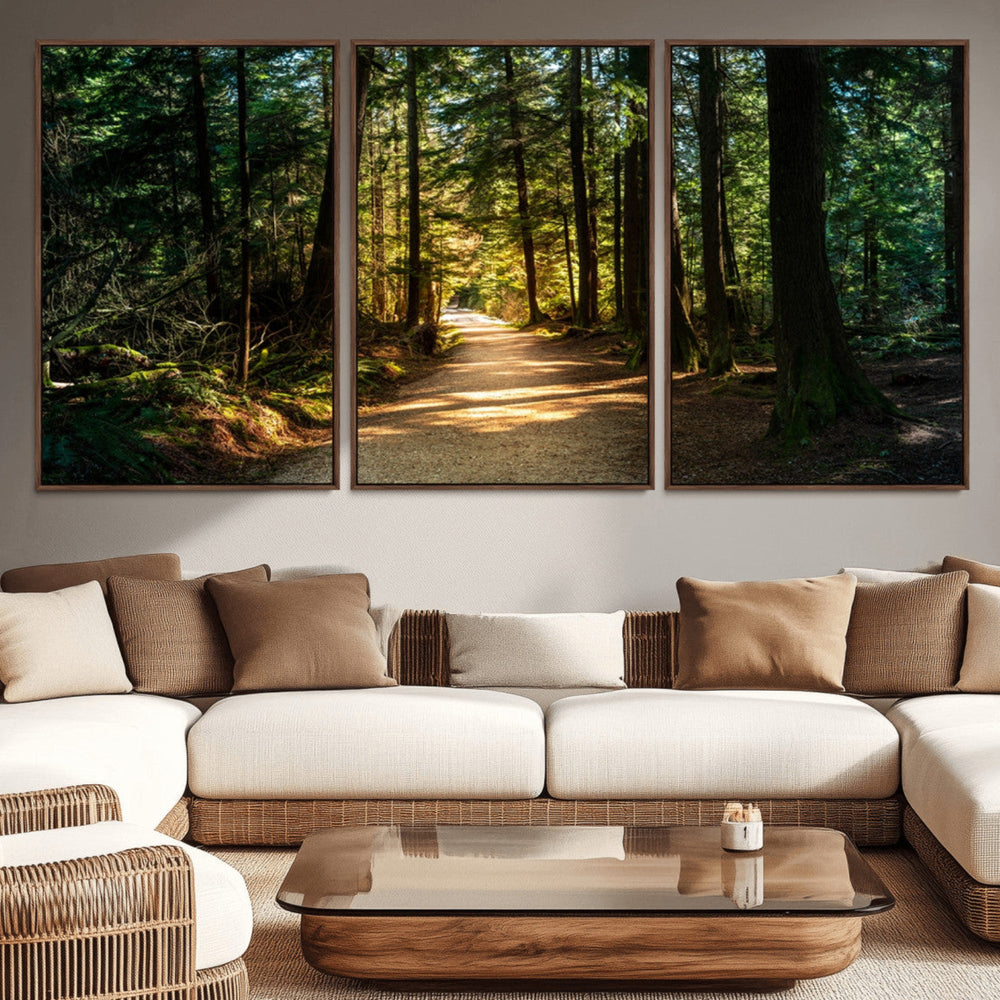 Sunlit Forest Pathway Canvas Print | 3 Panel Large Nature