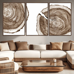 Wood Tree Ring Wall Art Canvas Prints, Tree Rings –