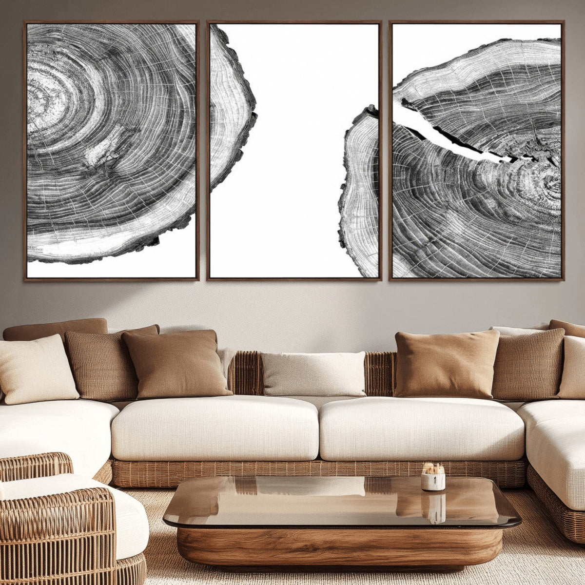 Abstract Large Tree Rings – Minimalist Black and White Wood