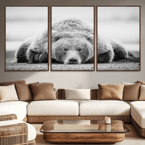 Resting Grizzly Bear Wall Art Canvas Print – Majestic Lazy