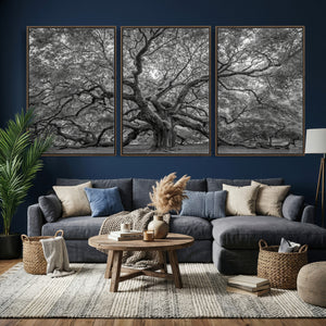 Majestic Angel Oak Tree Black and White Canvas Print – Multi