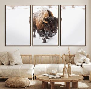Bison Winter Wall Art Canvas Print For Farmhouse Decor